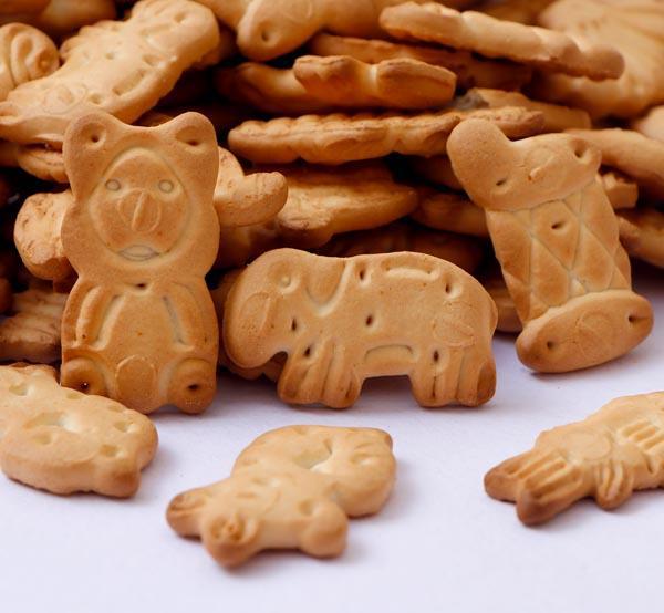 Toy Biscuits
